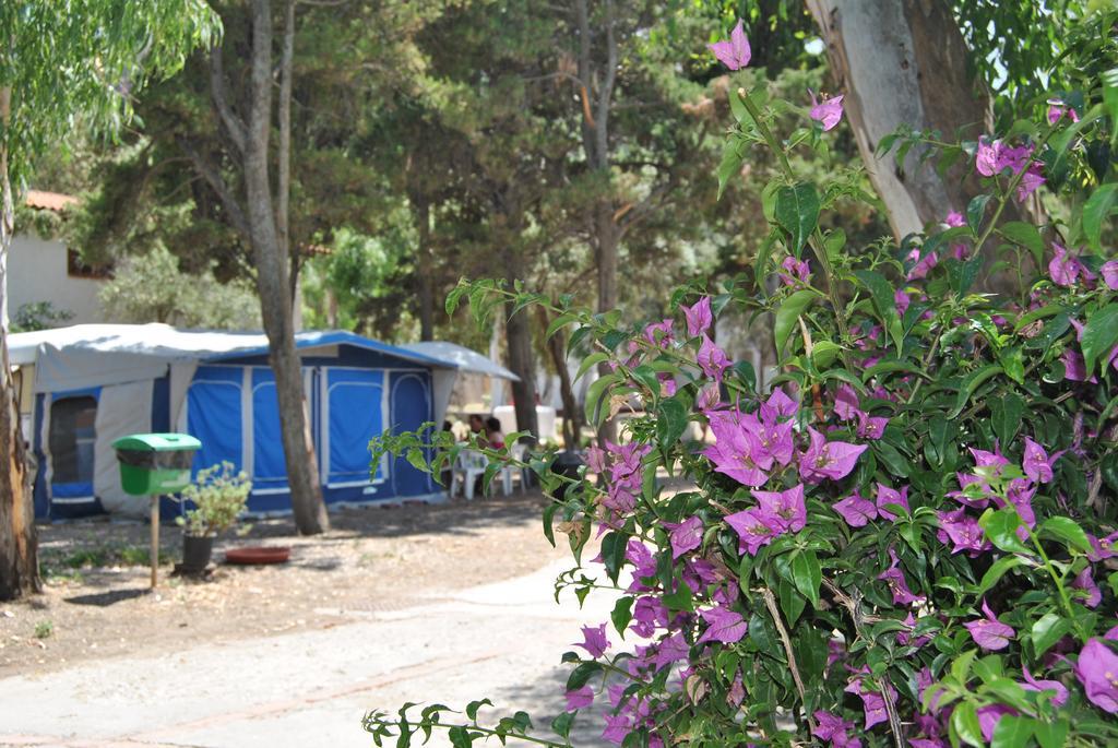 Camping B&B Gioiosa Gioiosa Marea Exterior photo